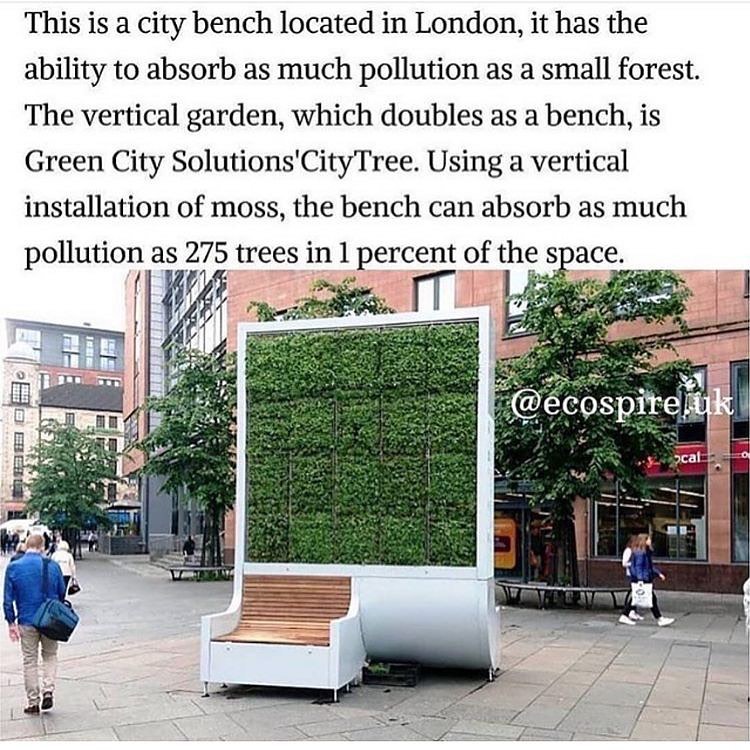 ecofriendlyfact's tweet photo. This absorbs as much C02 as 275 trees! They should build more around the world.
#environmentfacts #treefacts #environmentalfacts #nowasteliving #goingzerowaste #zerowastelife #wastefree #ditchplastic #zerowasteliving #zerowastehome #lessplastic https://t.co/cgSsgYRdTa