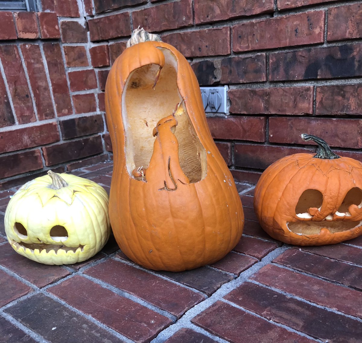 rootsofgold's tweet image. My pumpkins lost their dentures and deflated in 48 hours 😭

Anyone have advice on how to make carved pumpkins last?!