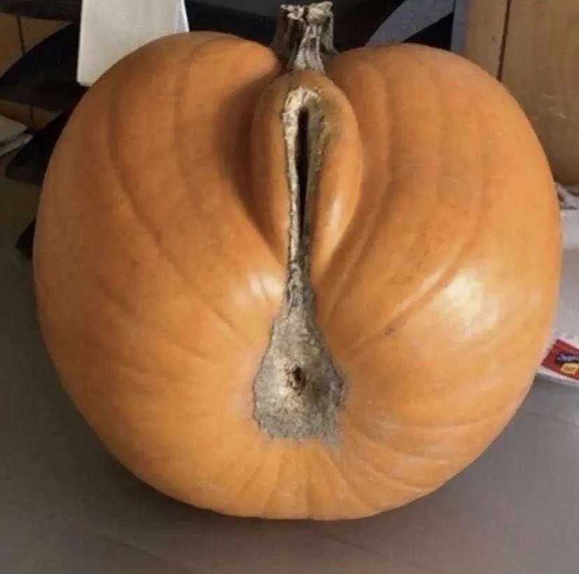 Pumpcussy. 😩🎃

Live.

Twitch: ItsMissMedic