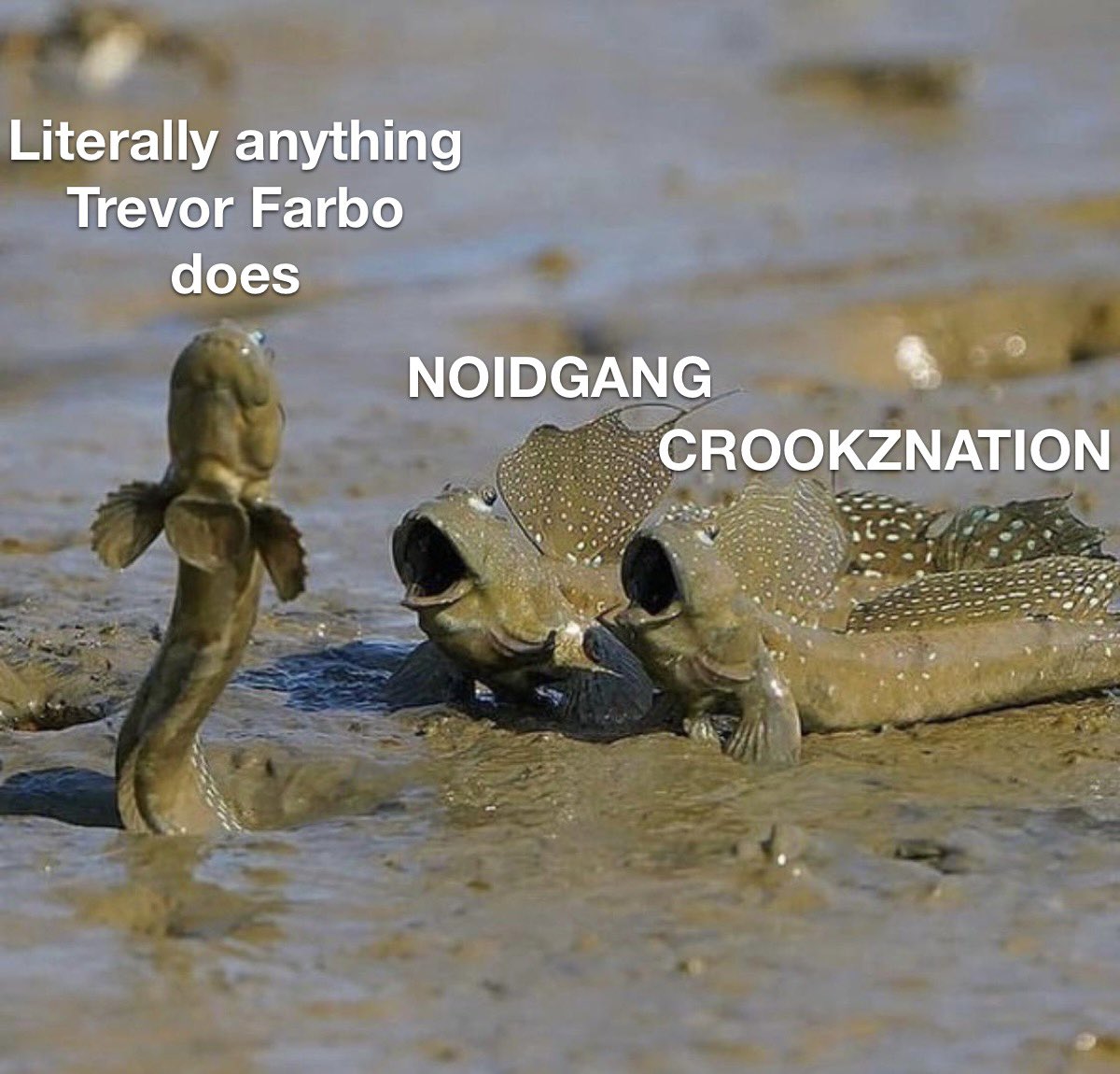 Everything <a href="/TrevorFarbo/">Trevor Farbo</a> does is a banger, prove me wrong

@crookznft + @TheHumanoidsNFT = @rionlabsnft 

#CROOKZNATION 🤝 #NOIDGANG