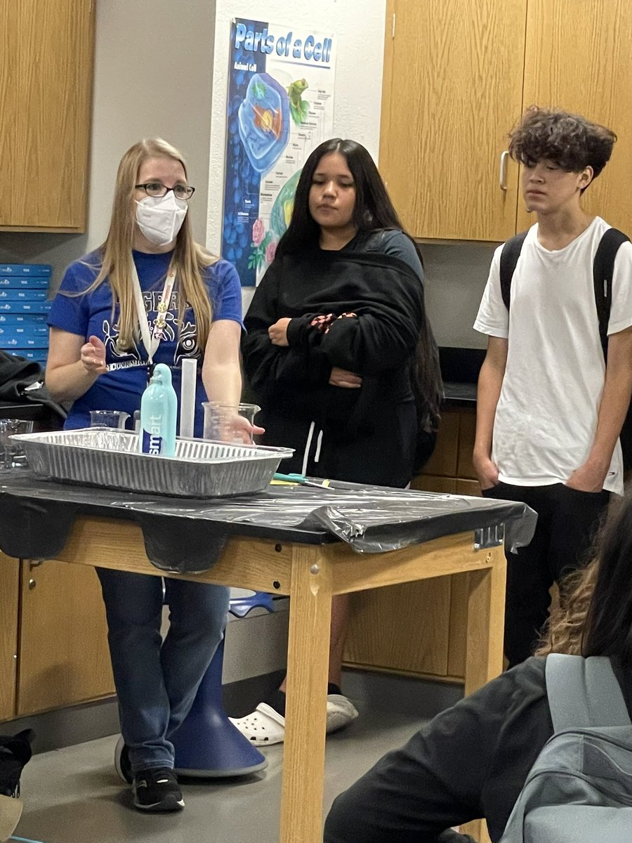 Kelli Shelly tweet media