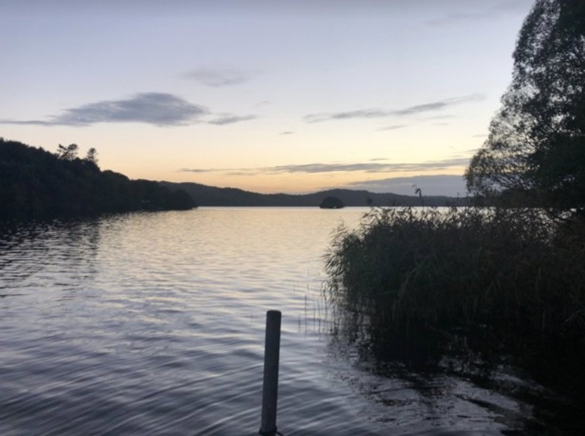 Just realised that my passport expired ....18. March 2020! Tells a lot that I did not notice before. #newpriorities #precense #seentheworld #goingtotavira #travelagain