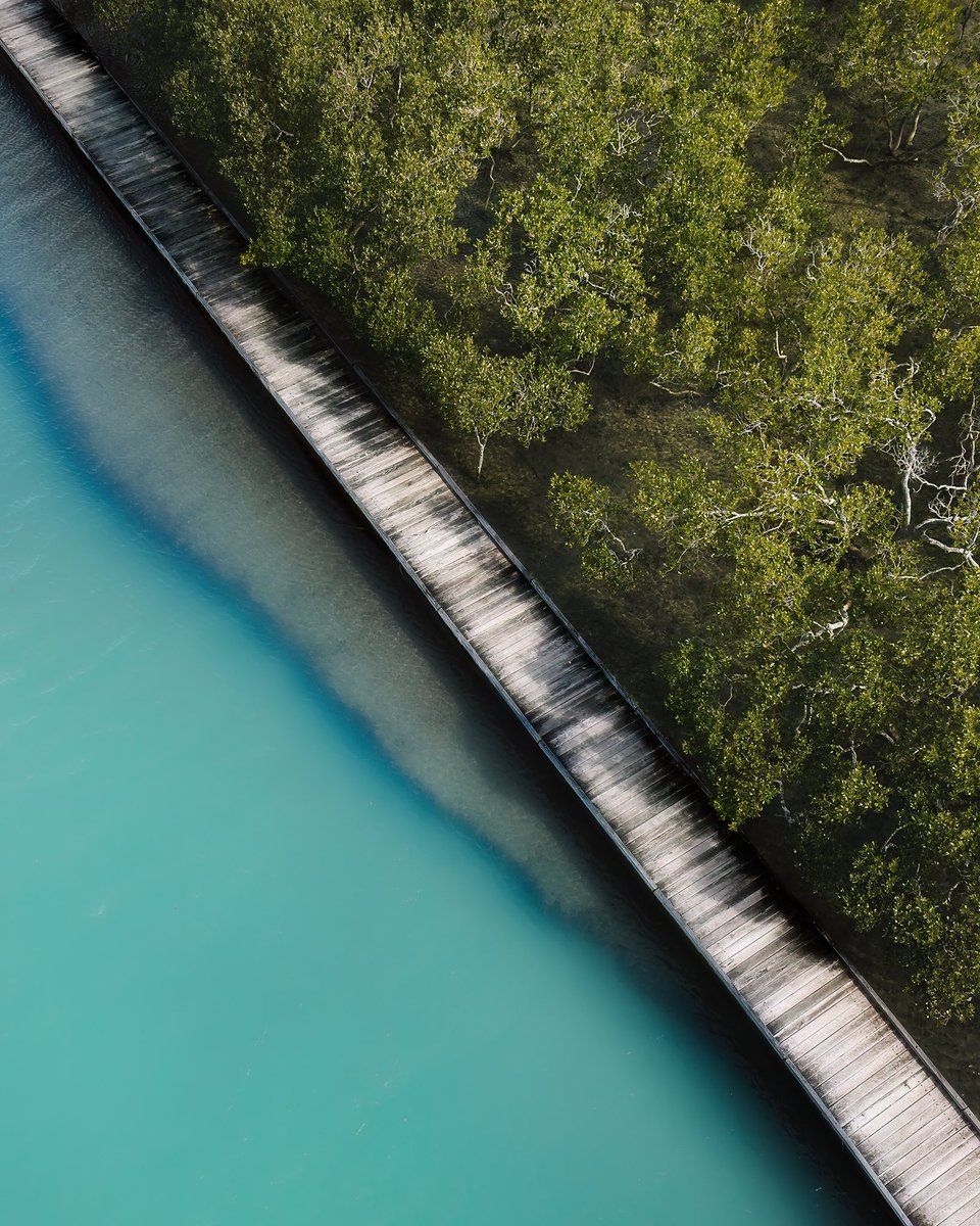 Timmboslice.eth 🇦🇺🌊💎 tweet media