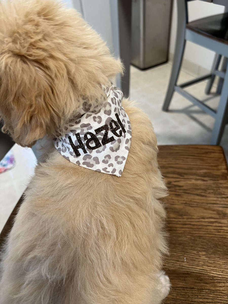v_ct0ria's tweet photo. Just made these last month! Custom dog bandanas for my friends pups 🐶🥹 DM if you are interested in some for your pups! 💛 https://t.co/GEjdKBR4YZ
