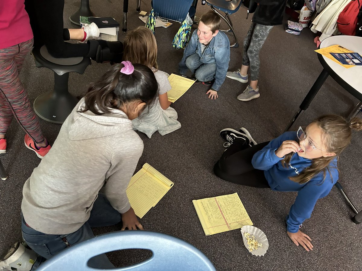 Lacey Lewis tweet media