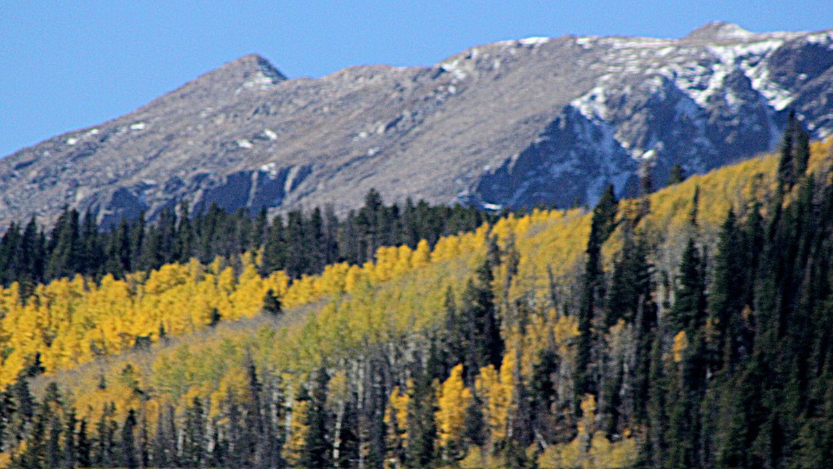 RobCBS4's tweet image. Dusting of snow above timberline on the east side of the Holy Cross Ridge complimented by dense stands of #Aspengold below. #Autumn in #Colorado's high country isn't done yet!