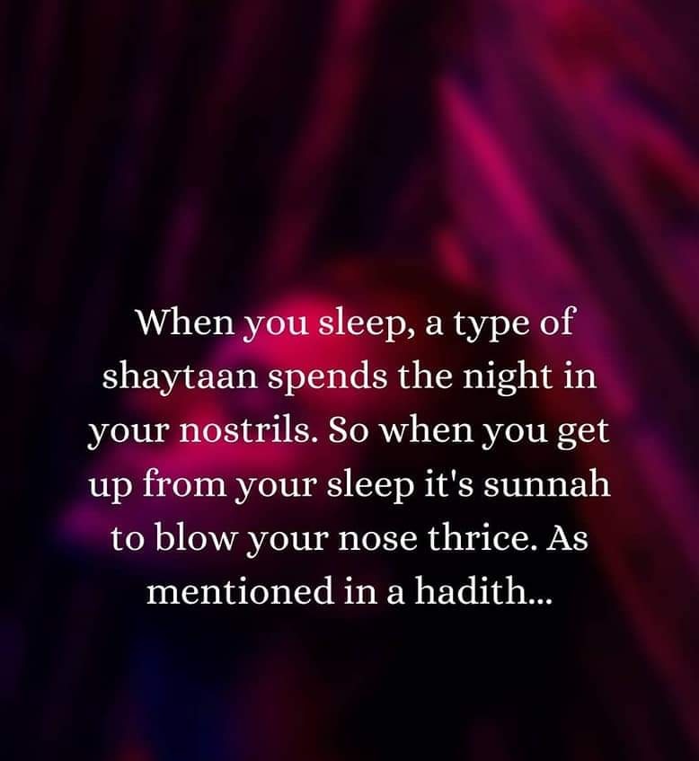 ● When you sleep, a type of shaytan spends the night in your nostrils. So when you get up from your...