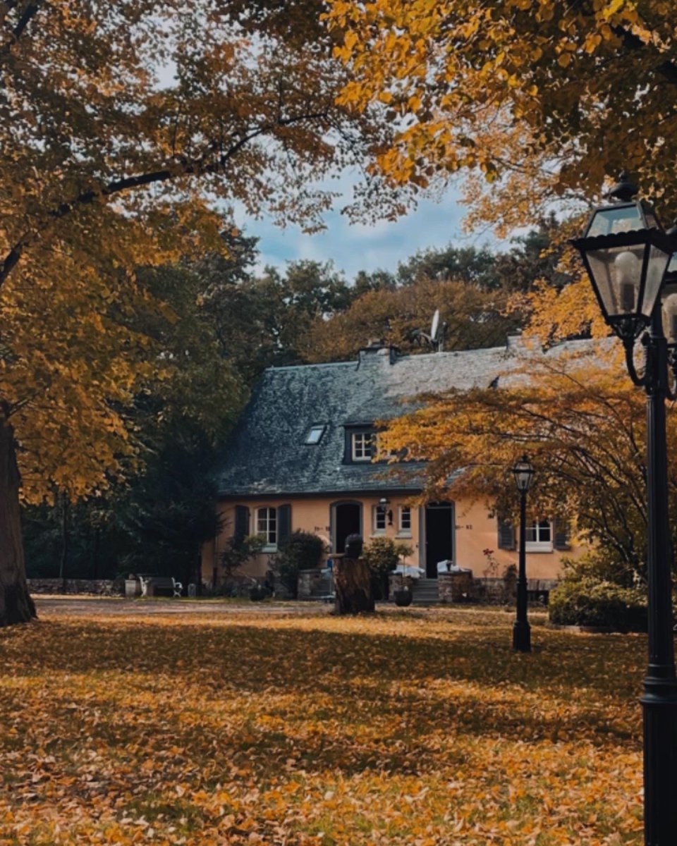 pikkuscientist's tweet image. What an incredible location for the #beilsteinNanoinformatics symposium!  Discussing science in the picturesque Rüdesheim am Rhein, distracted by the coziness of #autumn colours. 🍁🍂 #Scientists life  can be beautiful sometimes! 👩‍🔬 
@BeilsteinInst