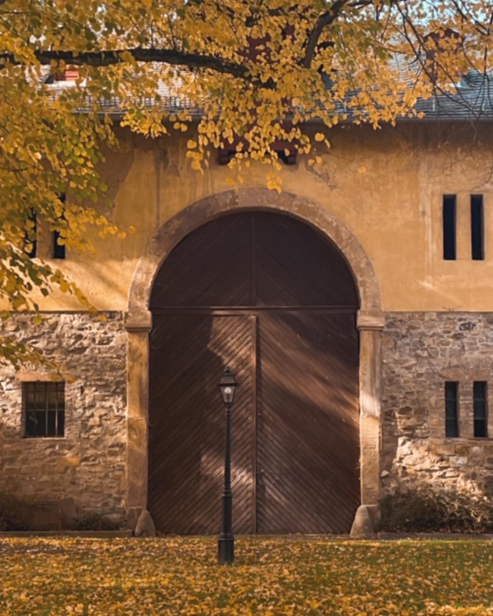 pikkuscientist's tweet image. What an incredible location for the #beilsteinNanoinformatics symposium!  Discussing science in the picturesque Rüdesheim am Rhein, distracted by the coziness of #autumn colours. 🍁🍂 #Scientists life  can be beautiful sometimes! 👩‍🔬 
@BeilsteinInst