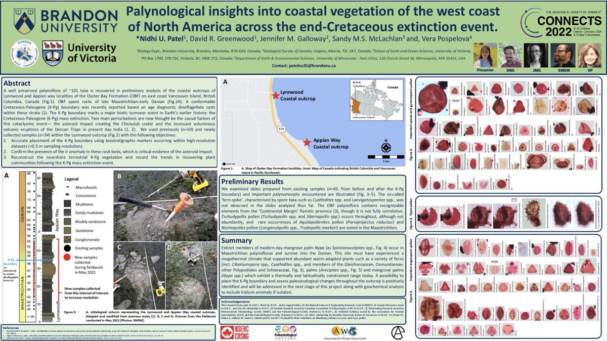 I was very sad as to not be present at @geosociety #gsa2022 in person. But here is our e-poster! Please check it out 😃 Palynology across K-Pg from Pacific Northwest @BUresearch #palynology #paleoecology thank you🙏@PaleoSoc @CanadianAcp @NSERC_CRSNG @AWG_org @BrandonUni