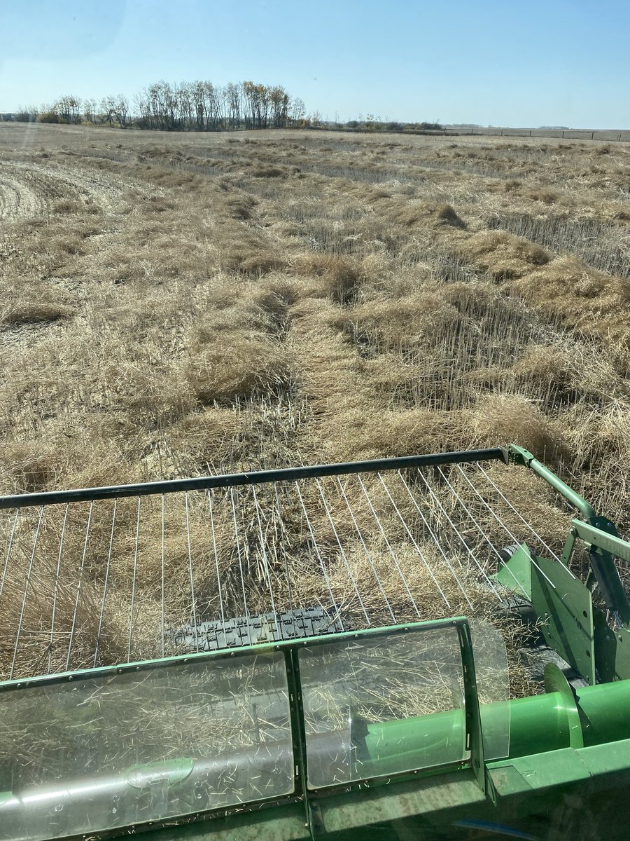 Gotta love Saskatchewan wind #only in Saskatchewan