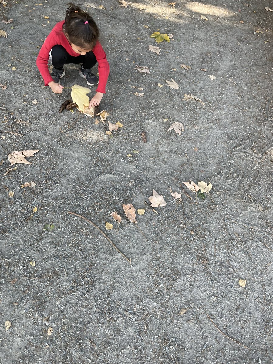 teach_ad's tweet photo. Kindergartens in Division 24 had so much fun on their first visit into the Magic Forest! As “Mathematicians” they were looking for patterns in nature. Can you see the patterns they uncovered? @brentwoodSD41 @burnabyschools https://t.co/FbW2JhX8Rh