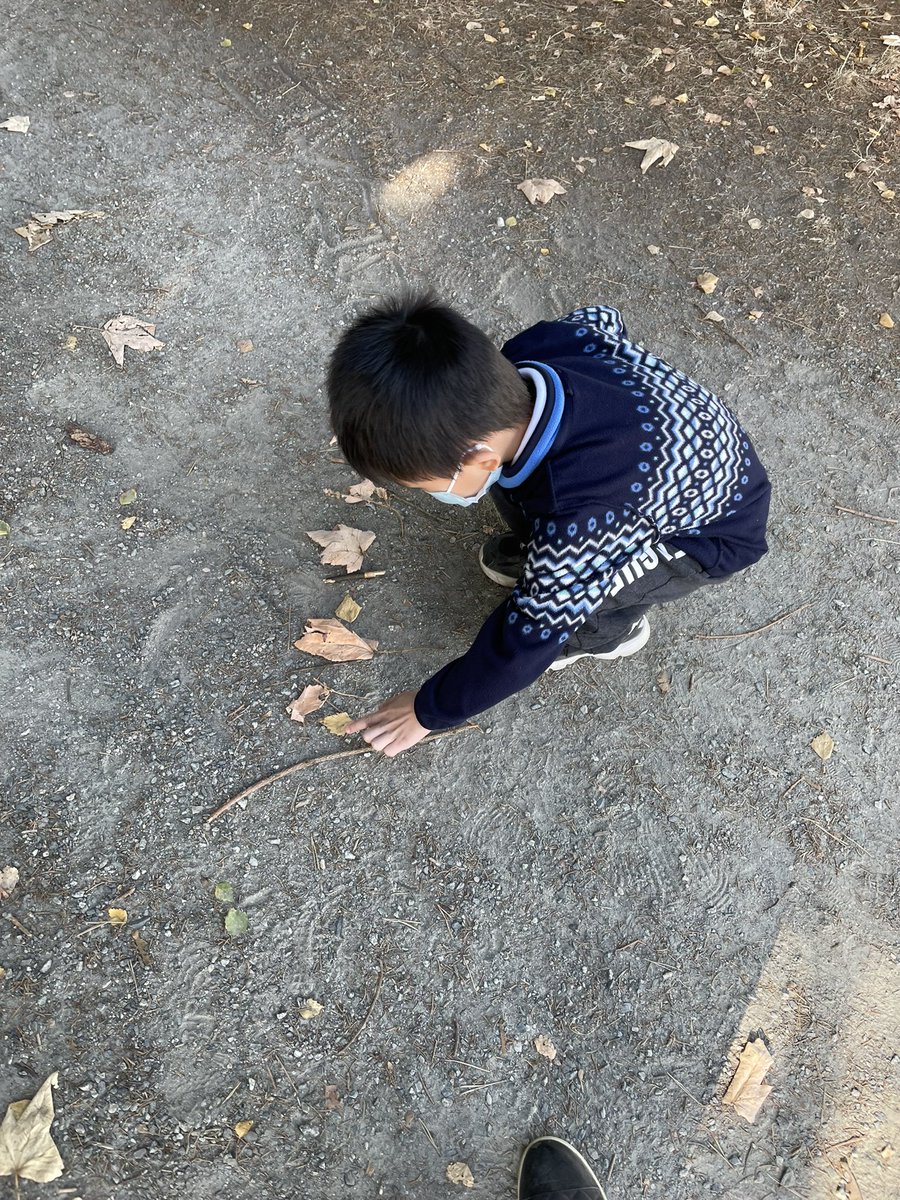 teach_ad's tweet photo. Kindergartens in Division 24 had so much fun on their first visit into the Magic Forest! As “Mathematicians” they were looking for patterns in nature. Can you see the patterns they uncovered? @brentwoodSD41 @burnabyschools https://t.co/FbW2JhX8Rh
