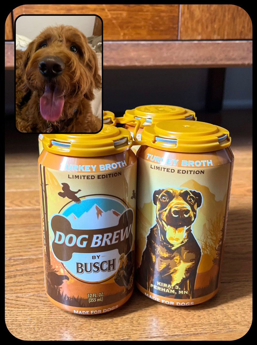 ⚠ It’s Time For A Treat ⚠ Stock up on @BuschBeer LIMITED- EDITION Turkey Flavored Dog Brew 🦃🐾 while supplies last: bit.ly/turkey-brew