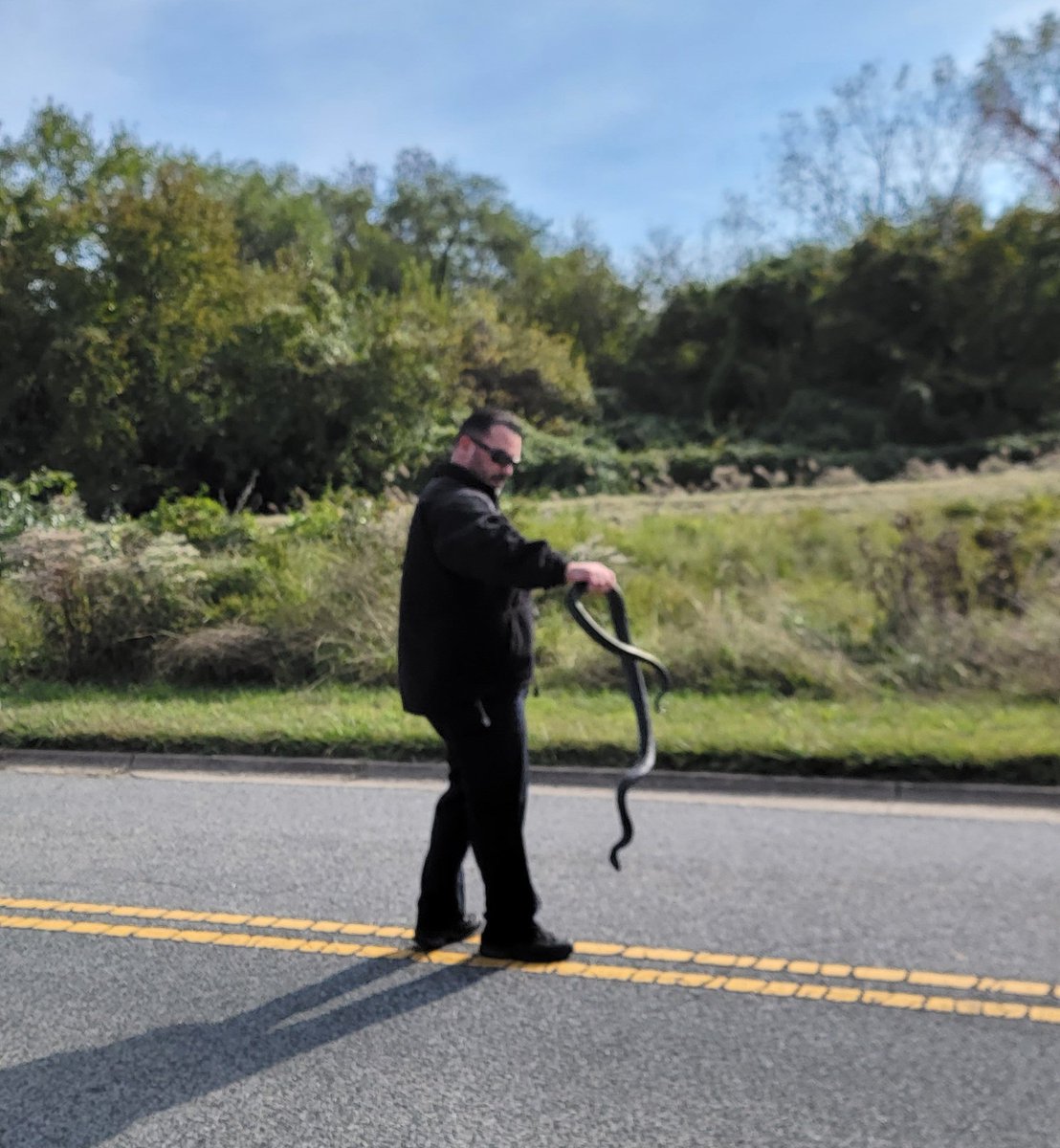 Chris_Roell's tweet photo. Just how we like it! This afternoon on my walk, I caught a @DCPoliceDept officer removing a black snake from the road on Federal property that was just sitting there catching some sun in @AnacostiaNPS! #blacksnake #washingtondc #thedistrict #districtofcolumbia #anacostiapark https://t.co/K1OXokYhzo