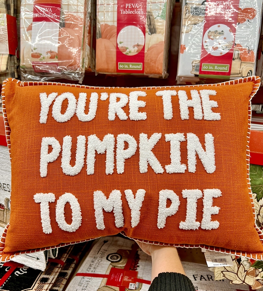 Hands up 🙌 if you’re ready to (pumpkin) spice up your fall décor with throw pillows to match your mood. 🎃 🍁 🛒 ➡️ biglots.ly/6015M9ipD