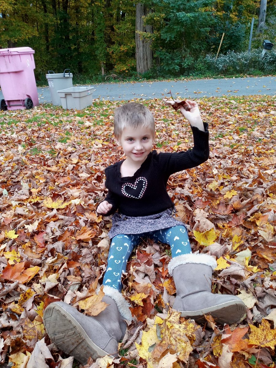 Ericalynn40's tweet photo. Aubree having fun in the leaves https://t.co/crTOpQBqkY