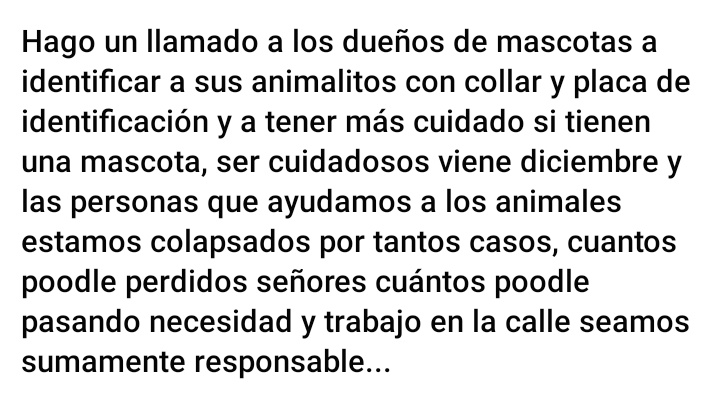Venezuelienne09's tweet photo. 🔴⚫Atención  a los dueños a quienes se les perdió o buscan un canino(a) POODLE en #Catia #Caracas el fue atropellado y falleció 🌈 en Av. El Cuartel bloque 4 de Ciudad Tablita. Ver y leer texto en fotos👇🏽👇🏽 https://t.co/xAW0iT7XAq https://t.co/OrLGVtppBp