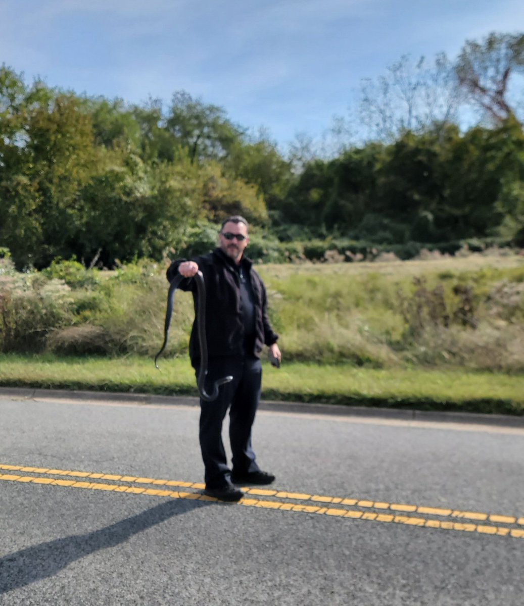 Chris_Roell's tweet photo. Just how we like it! This afternoon on my walk, I caught a @DCPoliceDept officer removing a black snake from the road on Federal property that was just sitting there catching some sun in @AnacostiaNPS! #blacksnake #washingtondc #thedistrict #districtofcolumbia #anacostiapark https://t.co/K1OXokYhzo
