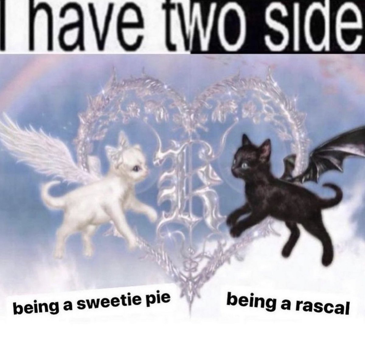 luke (@iucascmw) on Twitter photo 