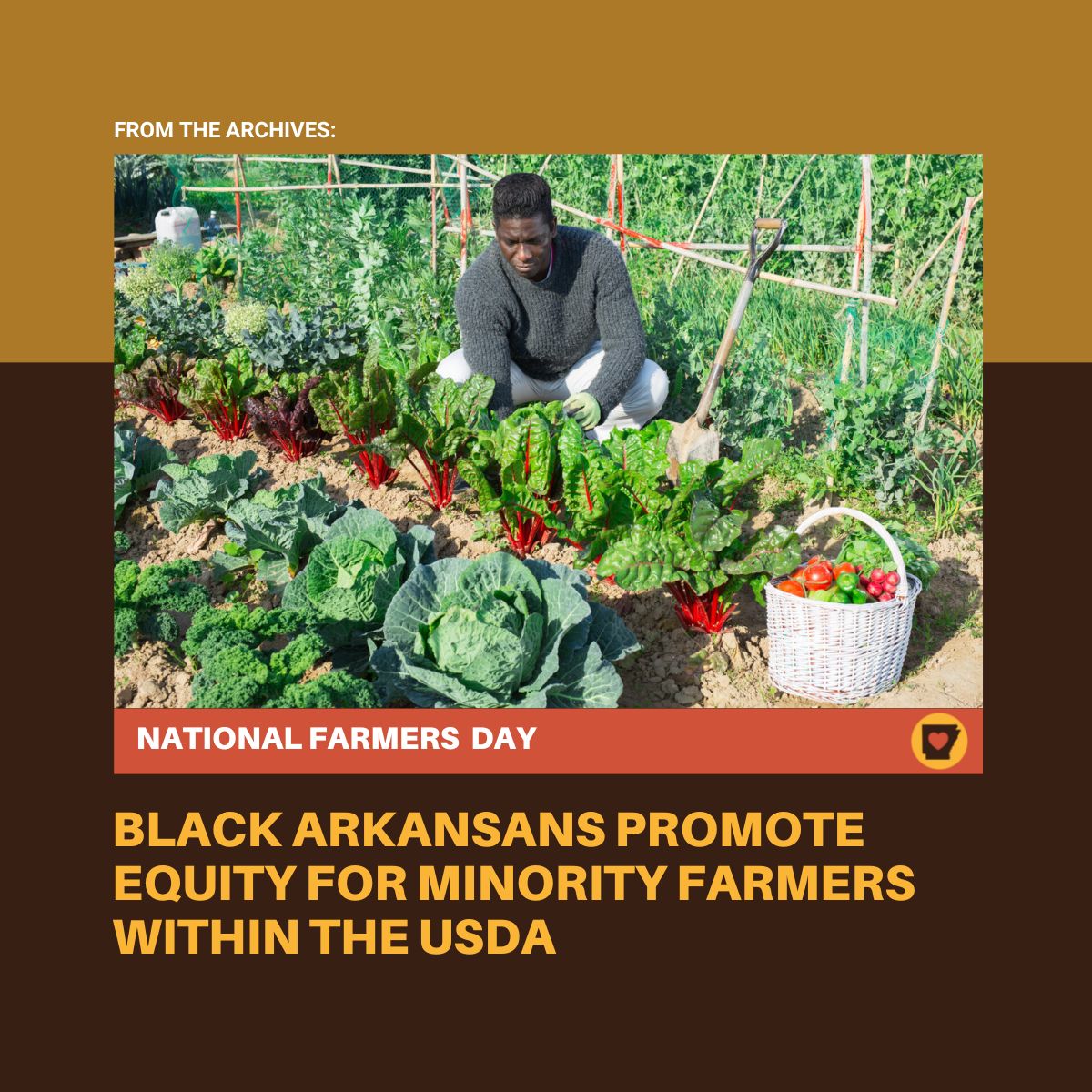 Arkansas Soul tweet media