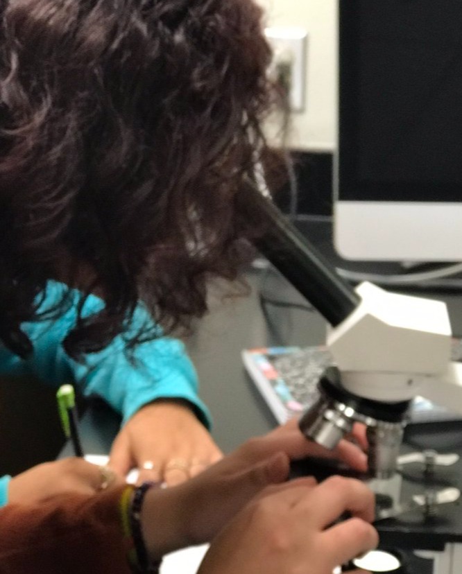SeguinISD's tweet photo. Students in @SeguinHSTx High School Forensics classes sketched and labeled parts of their hair. #MatadorScience #WeAreSeguin https://t.co/u6QSnK1eSI