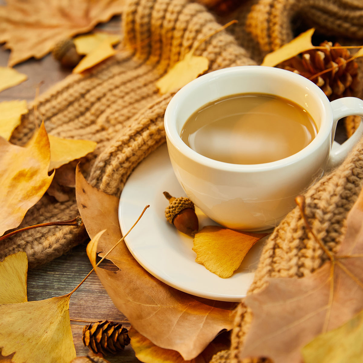 🍁 It's a Fall Feeling! 🍁 From coffee to crafts we have all things Autumn &amp; Spice for your love of #Fall. 🧡 We have goodies for your kitchen, classroom, workspace and anywhere else you want your spirit of the season to thrive. ☕ 🧶 Shop now >> buff.ly/3vNCta1