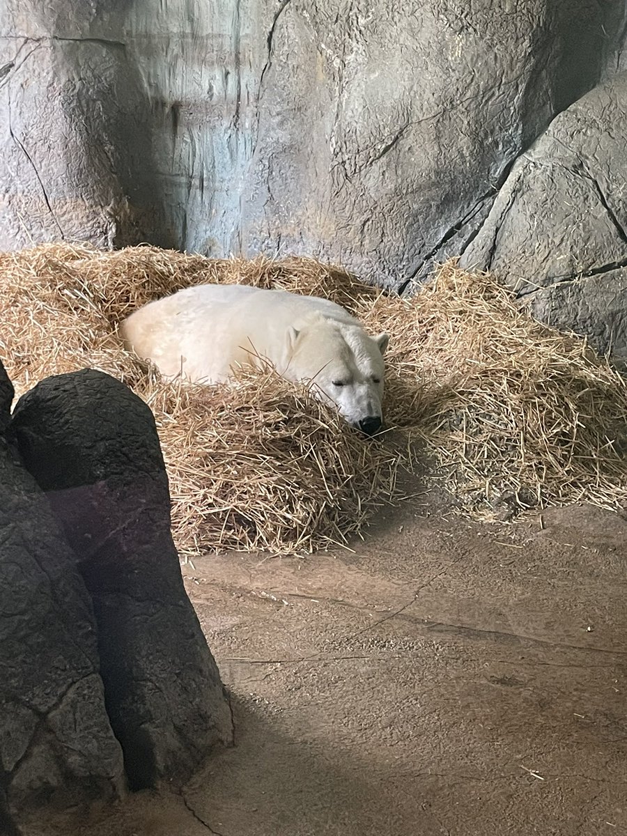 Charlie Eller tweet media