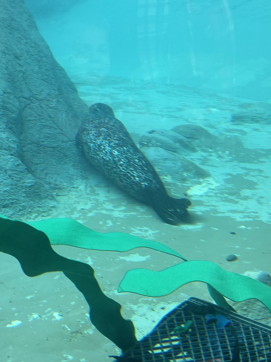 Charlie Eller tweet media