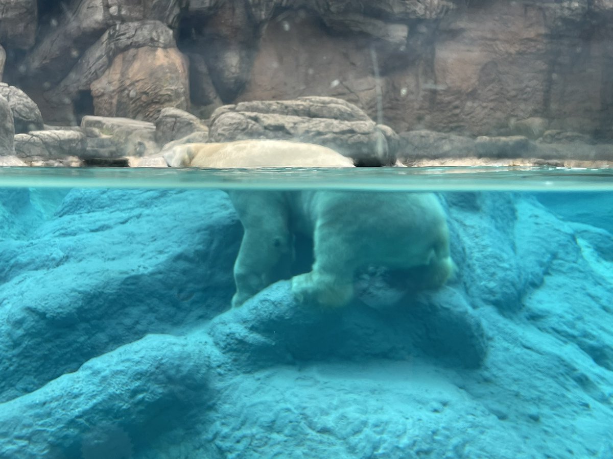 Charlie Eller tweet media