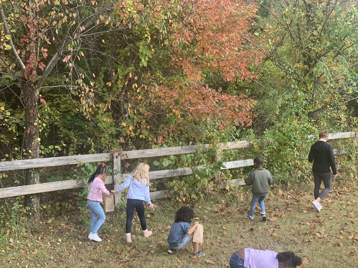 MsDrasal_Art's tweet photo. Firsties went on a leaf hunt in order to create a texture rubbing collage. 🍂🍁🍃 @mrswebster23  @VincentFarmBCPS https://t.co/0ifa9NEErA