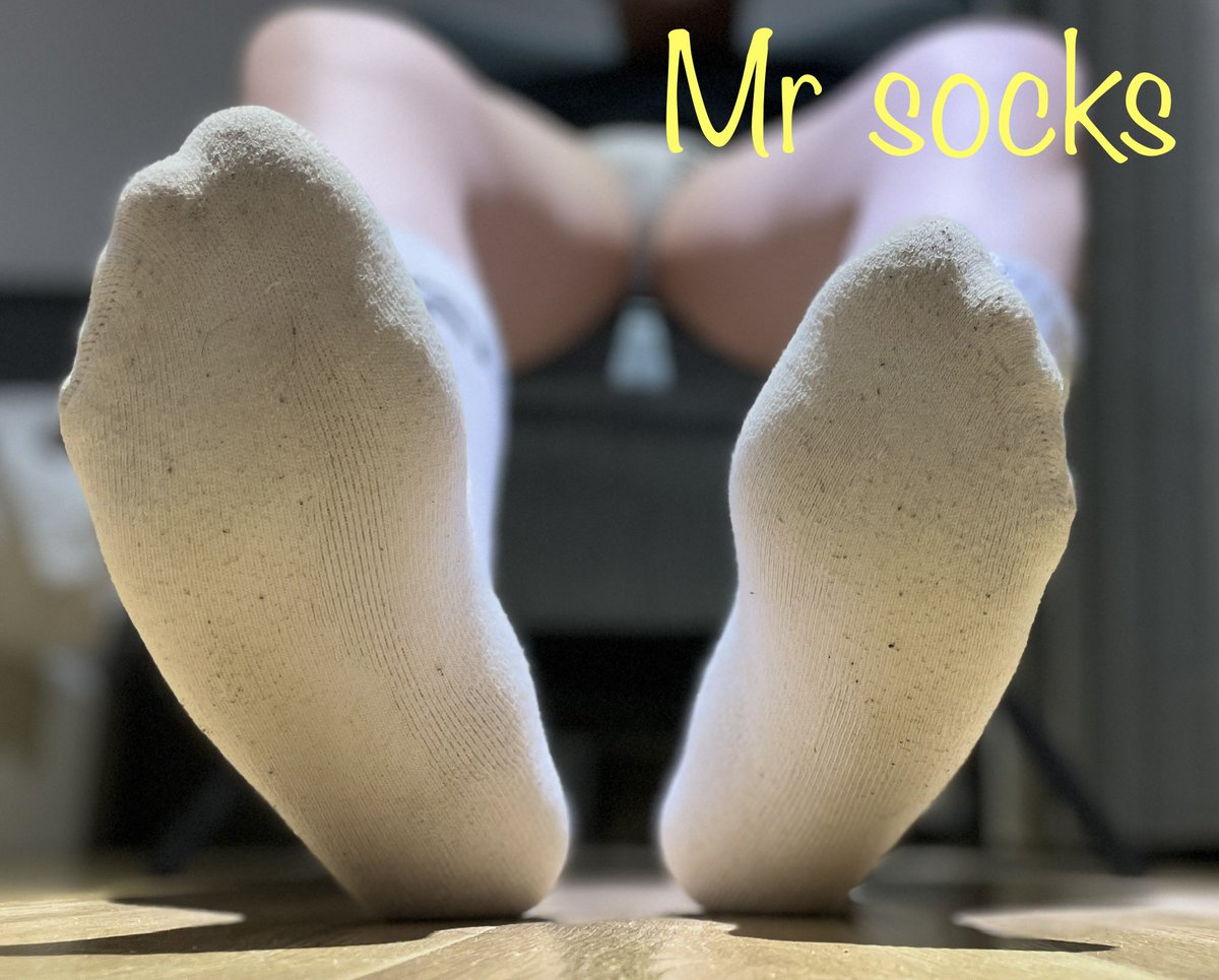 Mr socks tweet media