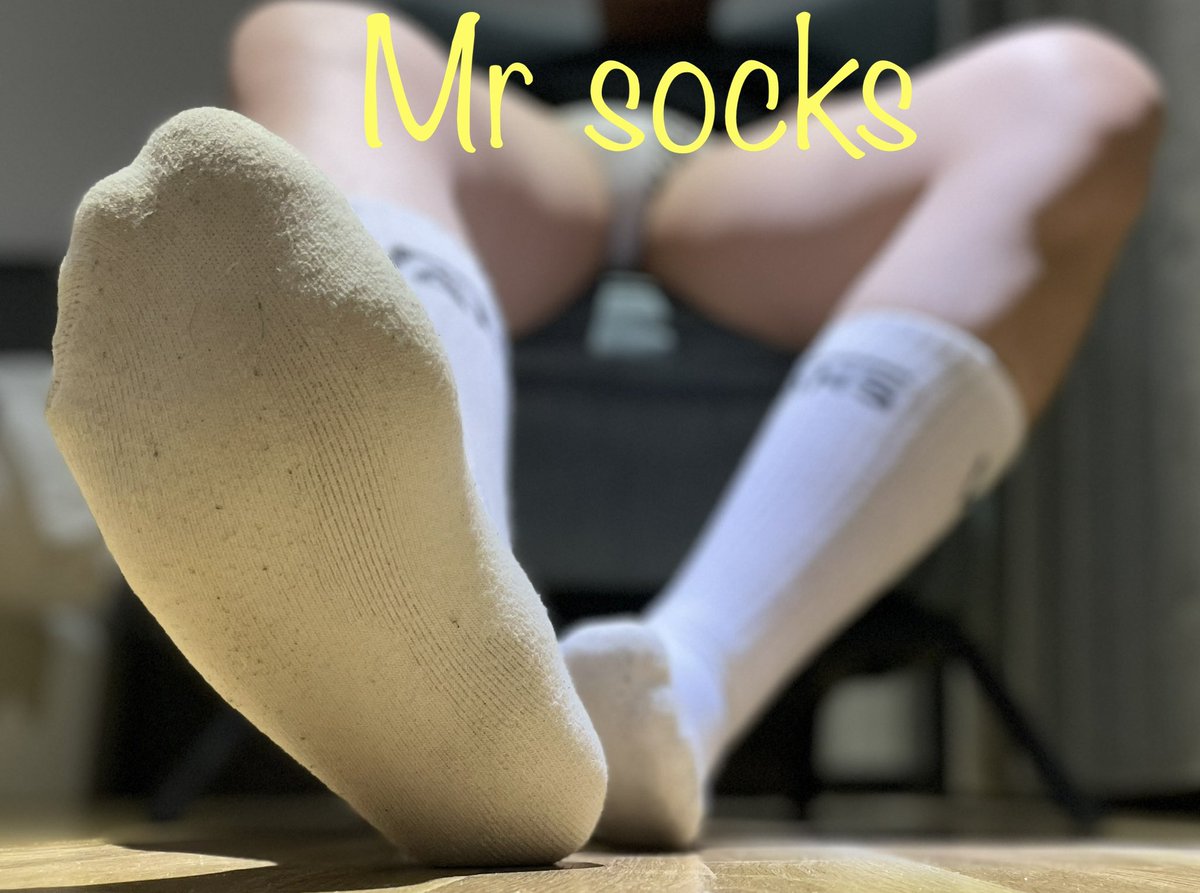 Mr socks tweet media