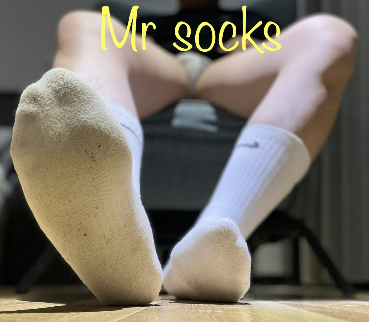 Mr socks tweet media
