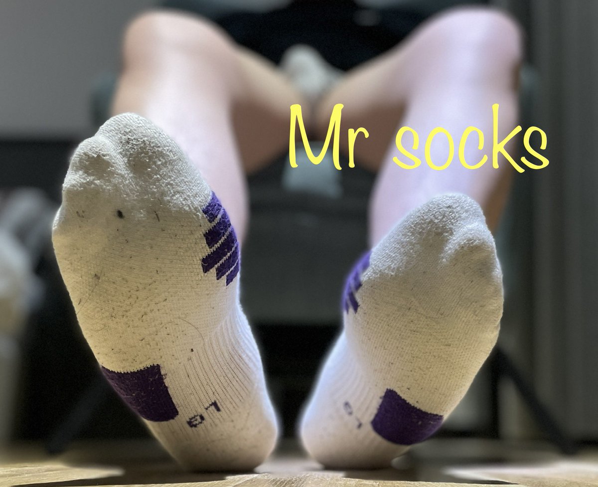 Mr socks tweet media
