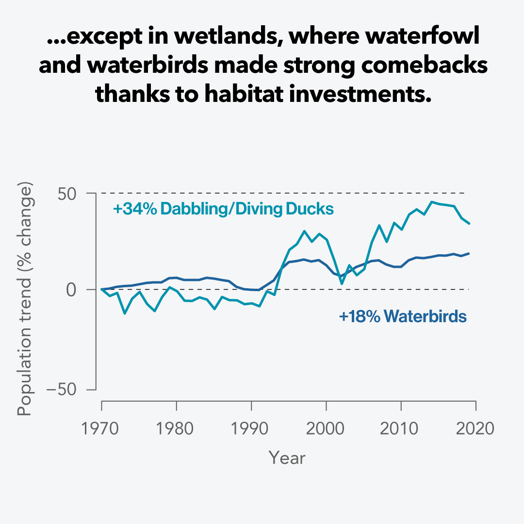 AppMountainsJV's tweet photo. The 2022 #StateOfTheBirds report is here! Birds across the U.S. show downward trends in every habitat except wetlands—where comebacks show the power of funding &amp; policies to restore nature, boost birds, &amp; help our communities. https://t.co/EzWg0eB9bC. https://t.co/OaepwHkPNa