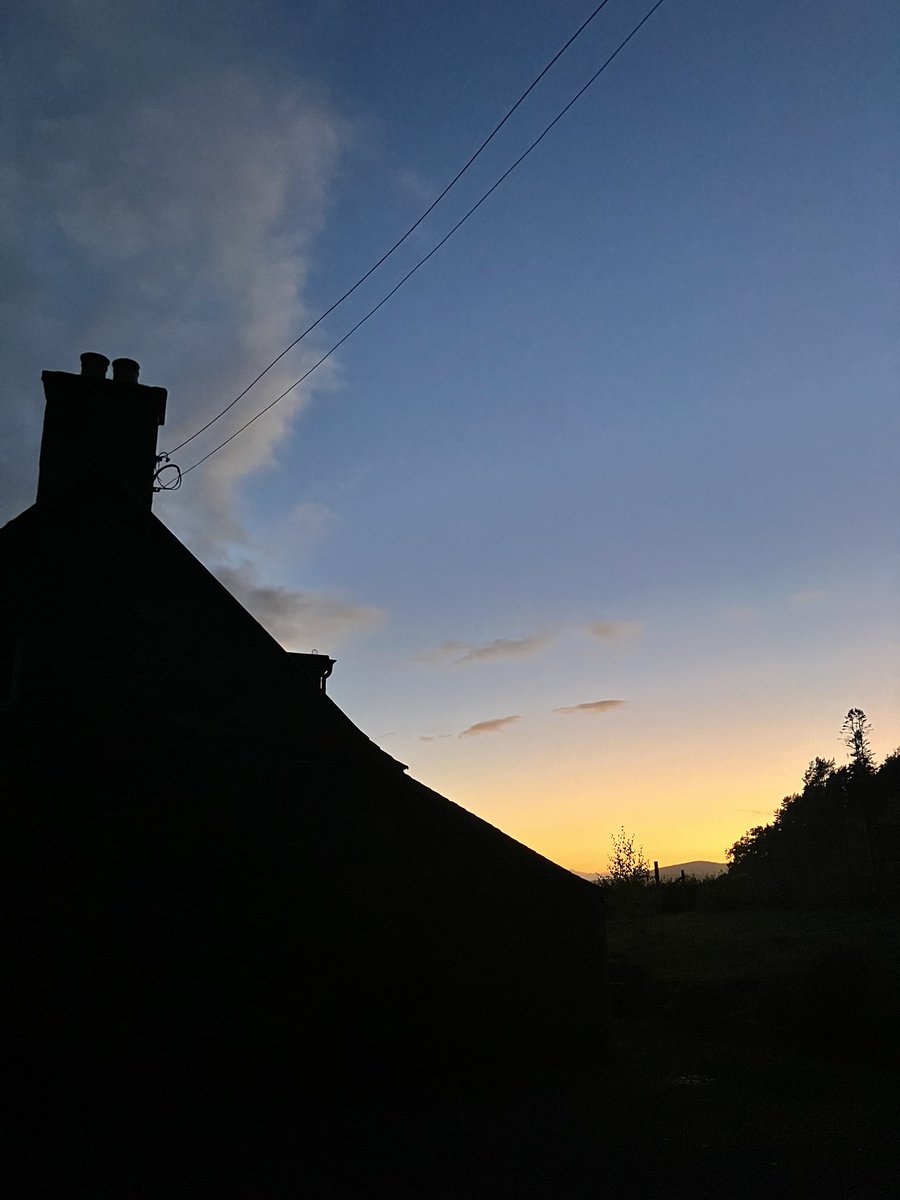 Julie Cumming tweet media