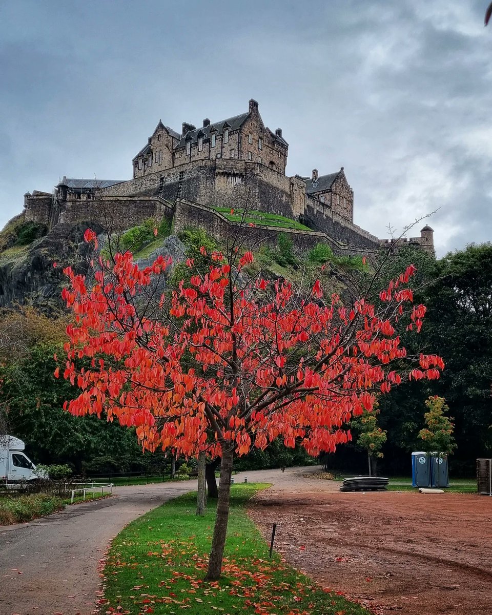 Kazzycrazy78's tweet photo. Autumn in Edinburgh
#edinburgh #visitedinburgh #edinburghcastle #autumn #autumntime #autumnleaves #autumncolours #redleaves #autumnvibes #visitscotland #edinburghphotography #instaedinburgh #igedinburgh #autumnphotography #autumnphotos #scotlandtravel #photographylover https://t.co/Re61tceDgU