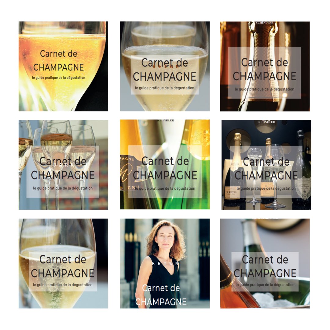 📚🥇🎉Et si vous choisissiez la couverture de notre carnet de dégustation ? Un guide pratique avec les fondamentaux du champagne et des fiches détaillées pour devenir un pro de la dégustation !
#champagne #livre #guide #vote