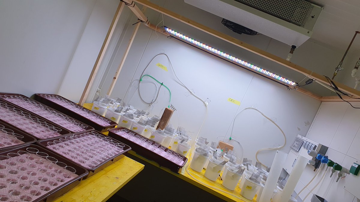 First experiment...a lot of excitement with a bit nervousness too
#PhD_Journey#Poop_Loop#Mixed_emotion