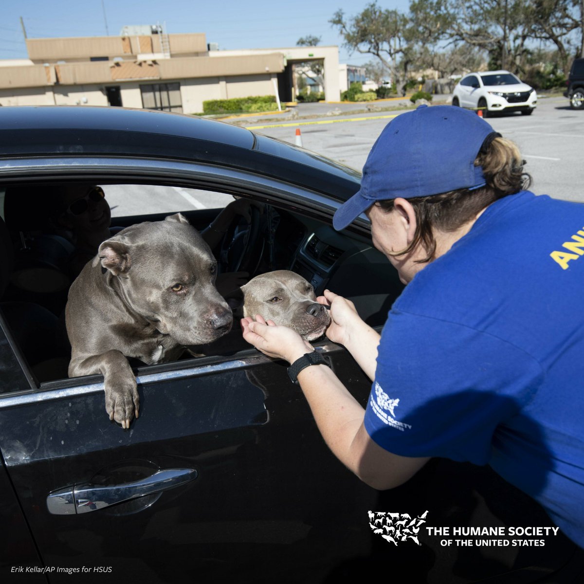 humaneworldorg's tweet photo. While the national news cycle may have moved on, our #HurricaneIan relief efforts are still in full swing as we work tirelessly to help the people and animals impacted by the immense devastation. https://t.co/RCb7D6y9sO