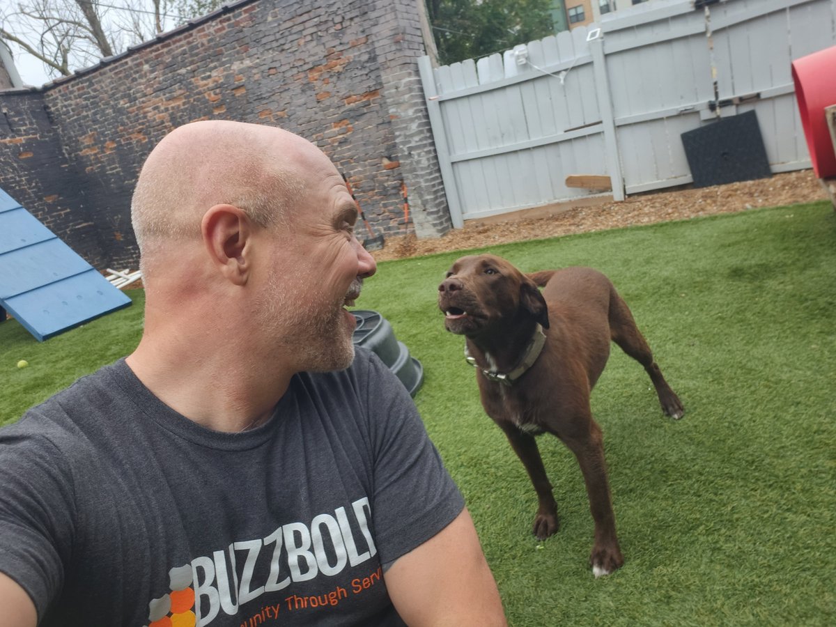 buzzbold's tweet photo. Our team had an energetic morning volunteering with @dogsforourbrave! These pups brightened our day, grateful we have the opportunity to give back! #pledge1percent #GrowConnected https://t.co/8B2dWWuqvE