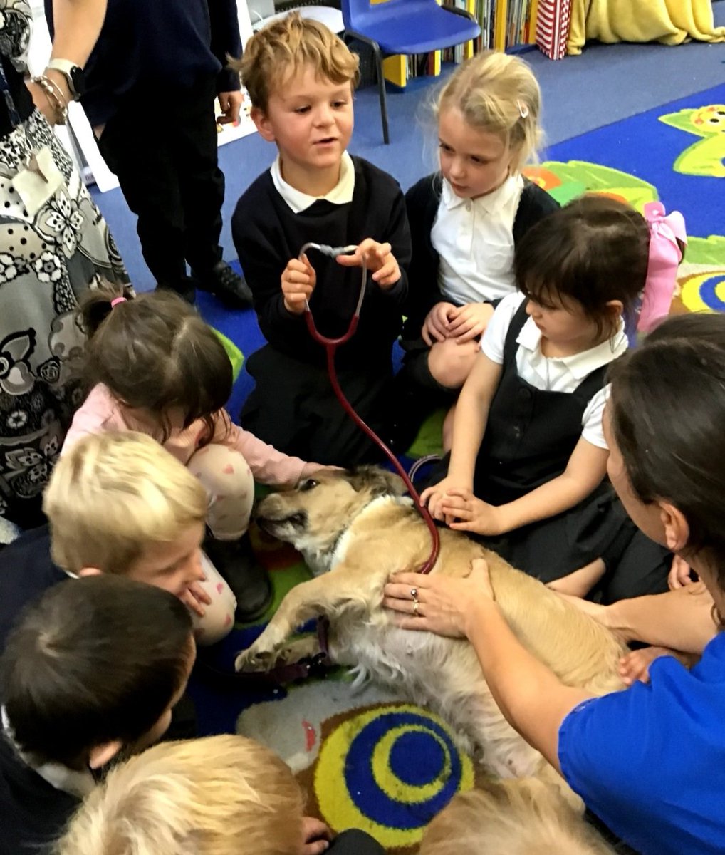 MepalWitchamCoE's tweet photo. EYFS were visited from one of our parents who is a vet! The children learned about vets, helped an injured pet, x-ray, perform surgery &amp; bandage a poorly leg! Then heard a real dogs heart beating through a stethoscope! WOW!🐕 school &amp;community @DEMAT @CEO_DEMAT @ClaireGray2019 https://t.co/vz04d9wSvw