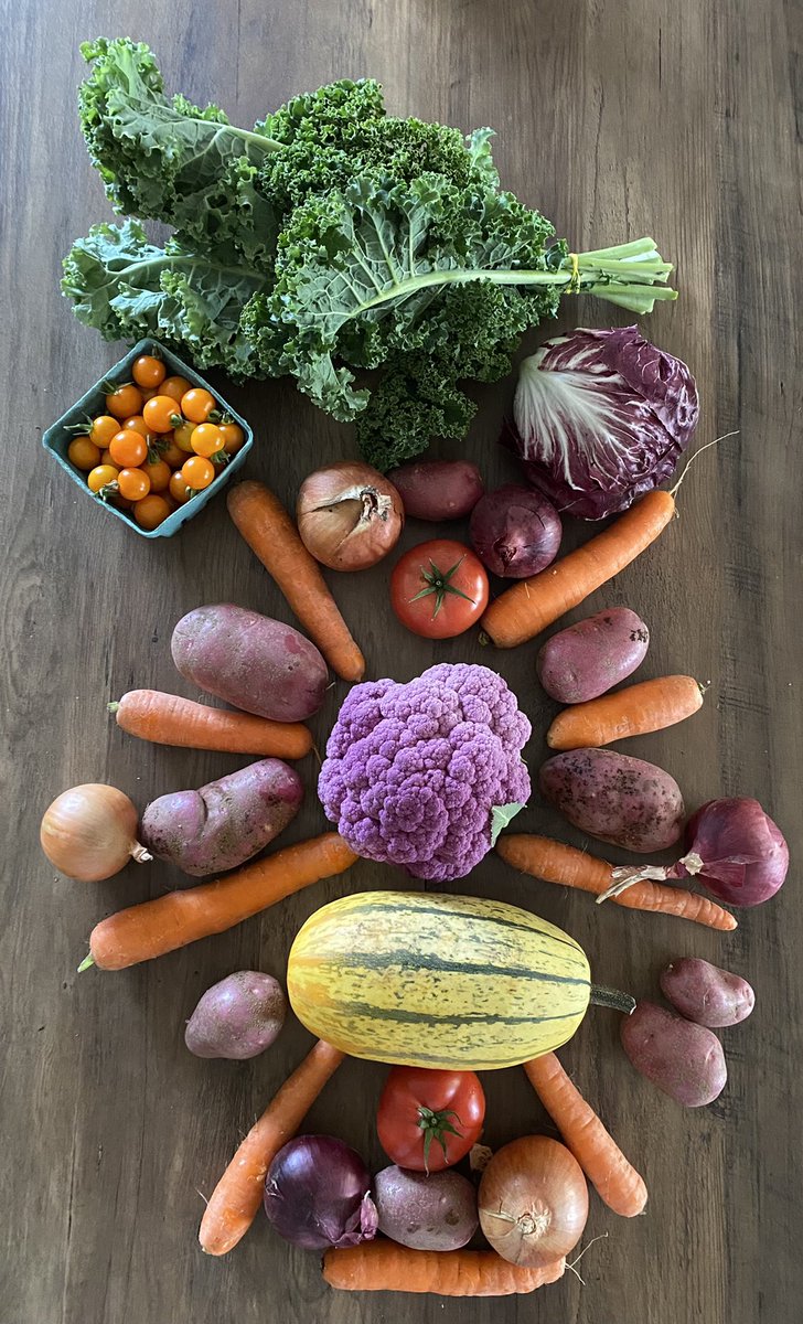 ChantalGendron3's tweet photo. Encouragez local! #PanierBio #JardinJulieEtLova 😍👌 https://t.co/4ohNVyEQlT