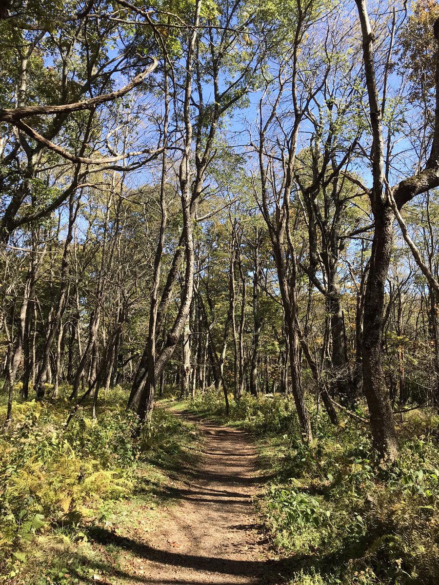 Stefan Tigges tweet media