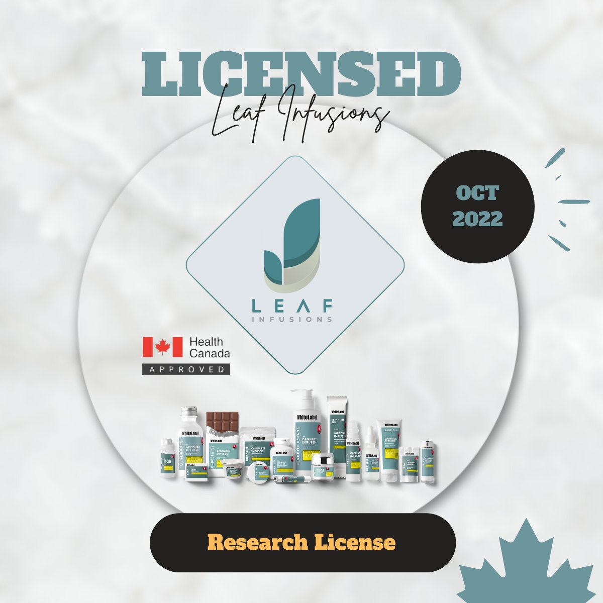 Happy to share that Leaf Infusions received its Health Canada Research License today in a very short timeline thanks to our amazing Quality and Compliance team!  #canadiancannabis