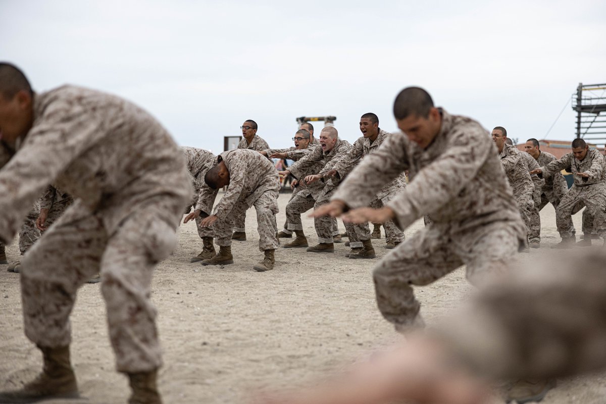 MCRD_SD's tweet photo. U.S. Marine Corps #recruits with Kilo Company, 3rd Recruit Training Battalion, participate in the confidence course at @MCRD_SD, Oct. 11, 2022.
The #confidence course challenges #recruits to face their fears and overcome them.
#ConfidenceCourse @USMC https://t.co/V5IO9ZXwGr