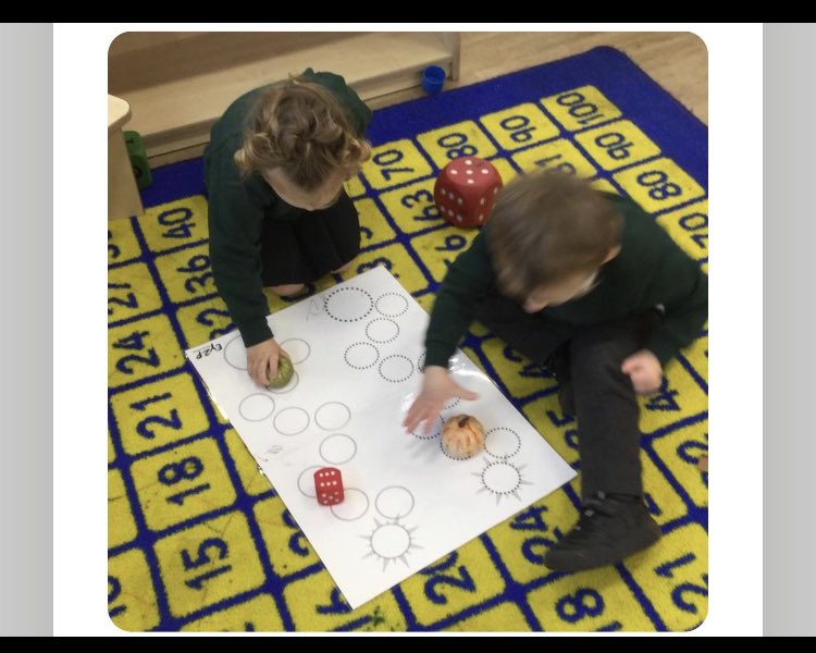 Meadowside Sunflowers Nursery tweet media