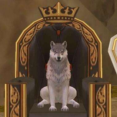 Chase The Wolf tweet media