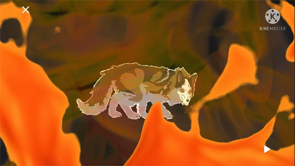 Chase The Wolf tweet media